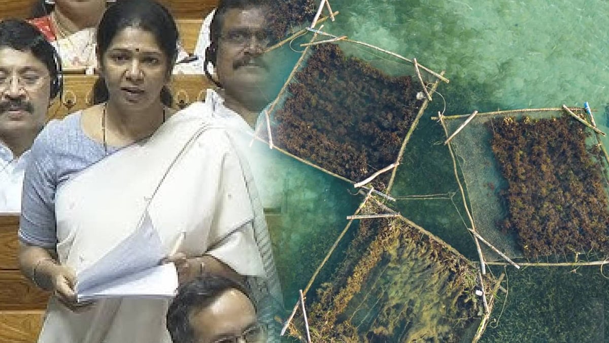 “தூத்துக்குடிக்கான ‘கடற்பாசி பூங்கா’க்களின் நிலை என்ன?” : நாடாளுமன்றத்தில் கனிமொழி எம்.பி கேள்வி!