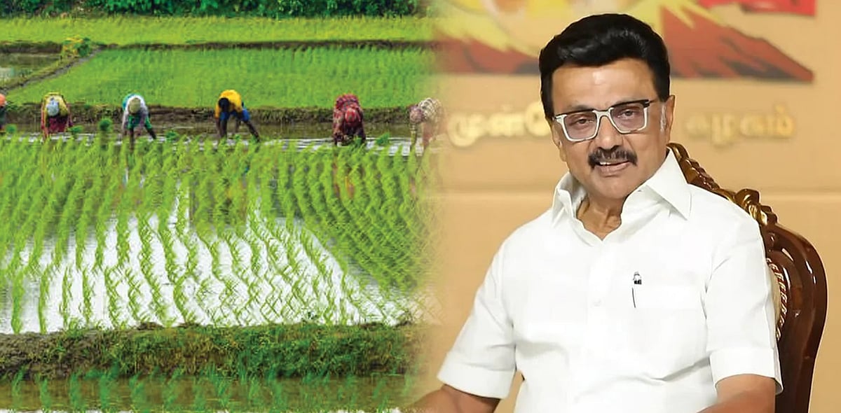 “திராவிட மாடலின் சாதனைகள் தொடரும்; உழவர் வாழ்வு செழிக்கும்!” : முதலமைச்சர் மு.க.ஸ்டாலின்!