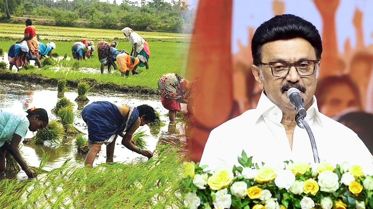 “திராவிட மாடலின் சாதனைகள் தொடரும்; உழவர் வாழ்வு செழிக்கும்!” : முதலமைச்சர் மு.க.ஸ்டாலின்!