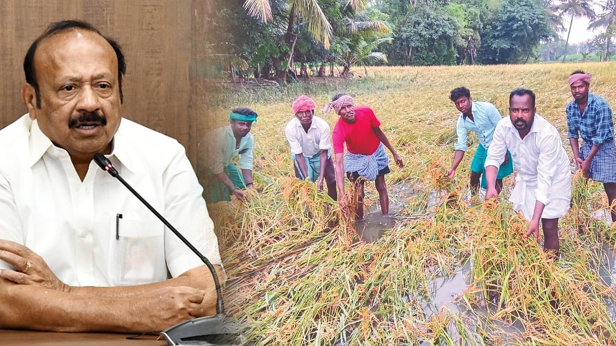 வடகிழக்கு பருவ மழையால் பாதித்த பயிர்கள்: ரூ.289.63 கோடி நிவாரண நிதி அறிவித்த அமைச்சர் MRK பன்னீர்செல்வம்