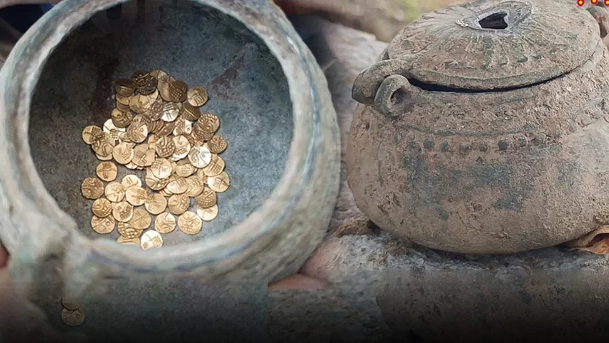 நிலத்தை சமன் செய்யும்போது கிடைத்த 1 இல்ல 2 இல்ல... 86 தங்க நாணயங்கள்... திருப்பத்தூரில் நடந்தது என்ன?