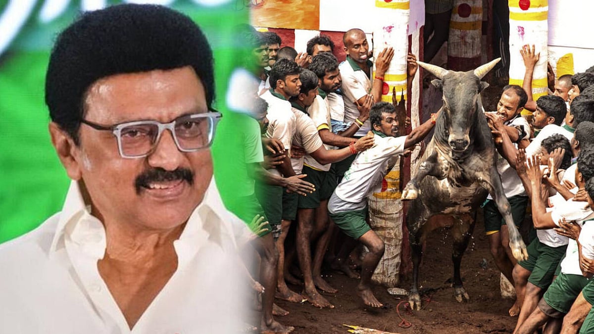 “ஜன.17 அன்று ஜல்லிக்கட்டை பார்ப்பதற்கு மதுரை செல்கிறேன்!” : முதலமைச்சர் மு.க.ஸ்டாலின் அறிவிப்பு!