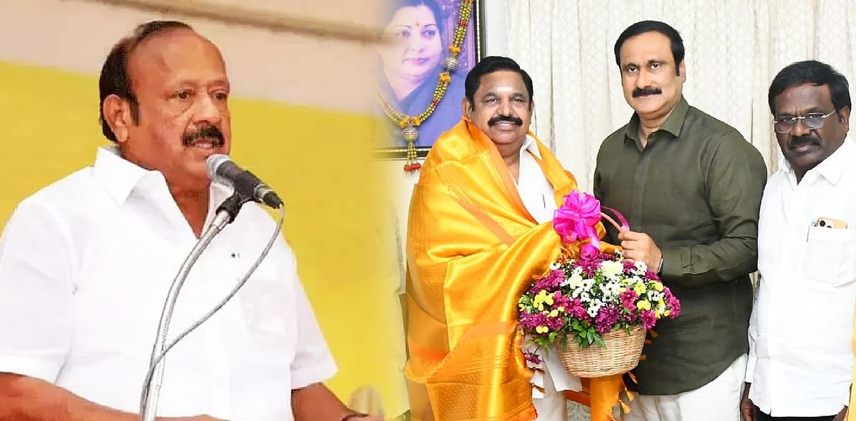 ‘டால்பின்’ அன்புமணி.. வெளியேற தயாரா?.. - அன்புமணியை அறிக்கை மூலம் விளாசிய அமைச்சர் MRK பன்னீர்செல்வம்!