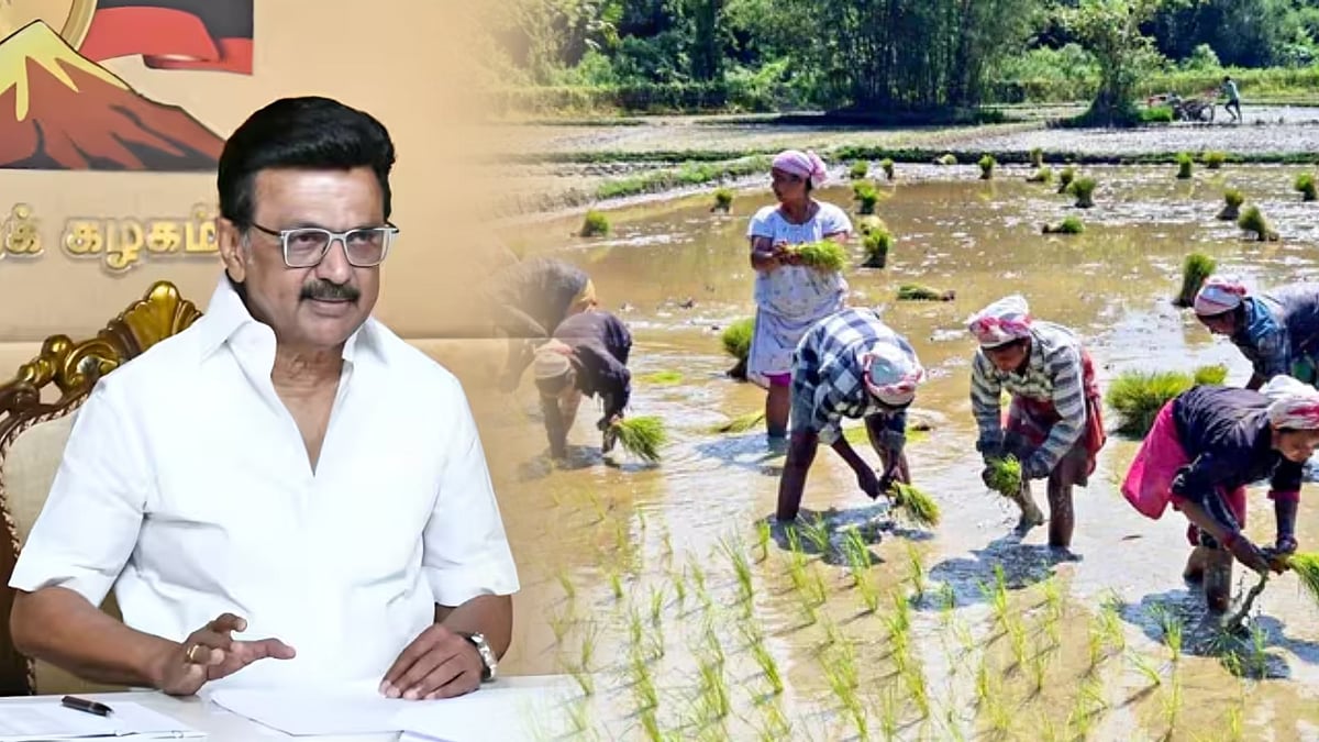 வடகிழக்குப் பருவமழை, புயல்... விவசாயிகளுக்கு ரூ.111.96 கோடி நிவாரணத்தொகை.. அரசாணை வெளியீடு!