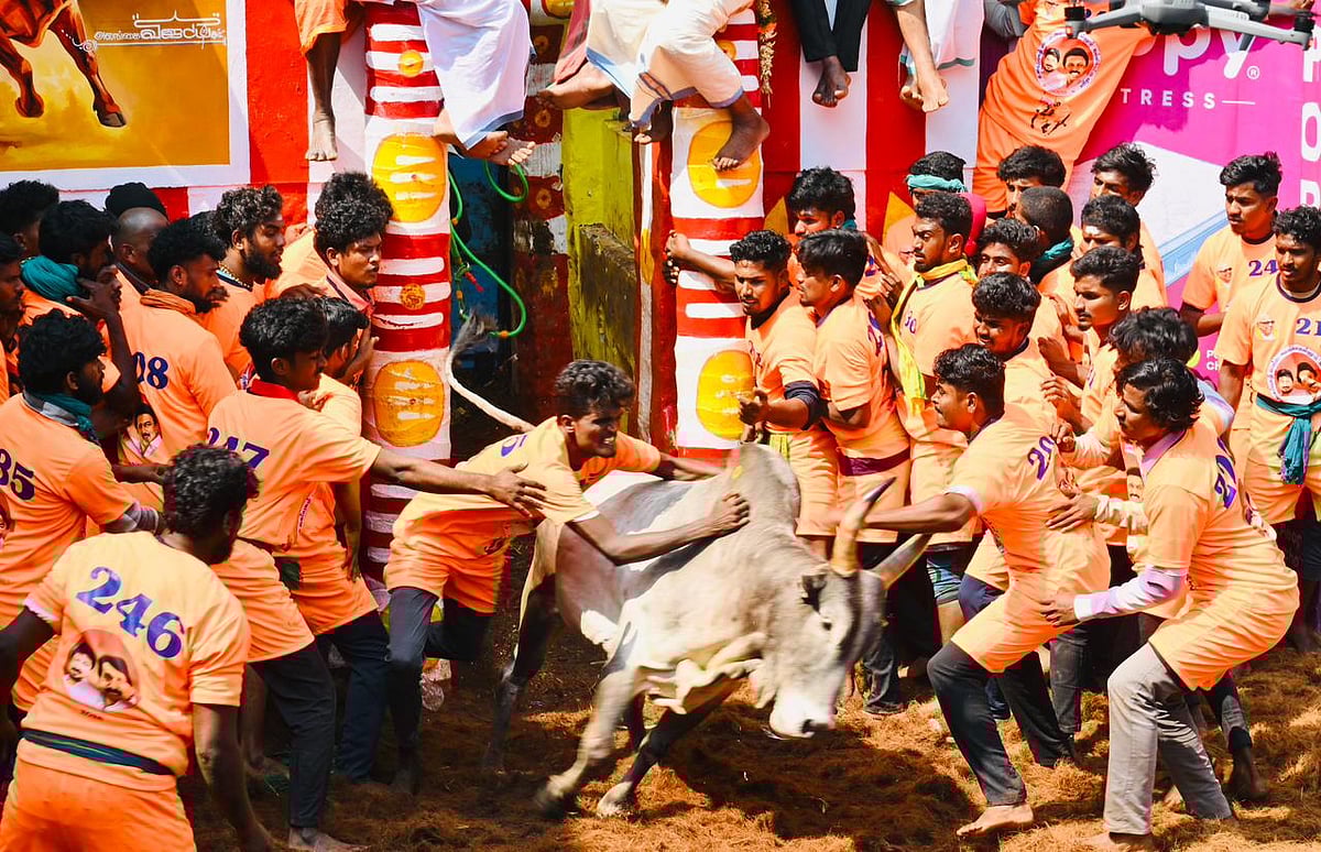 “ரூ.2 கோடியில் ஜல்லிக்கட்டு காளைகளுக்கான பயிற்சி மையம்!” : முதலமைச்சரின் 2 அதிரடி அறிவிப்புகள்!