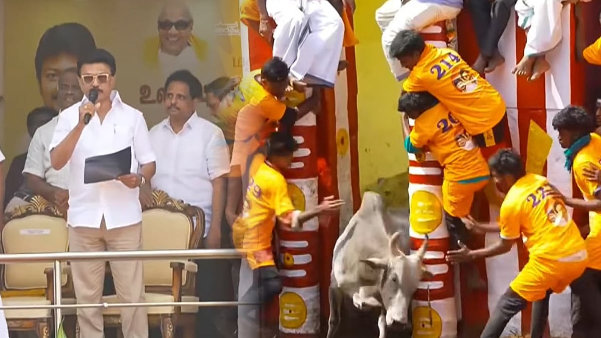 “ரூ.2 கோடியில் ஜல்லிக்கட்டு காளைகளுக்கான பயிற்சி மையம்!” : முதலமைச்சரின் 2 அதிரடி அறிவிப்புகள்!