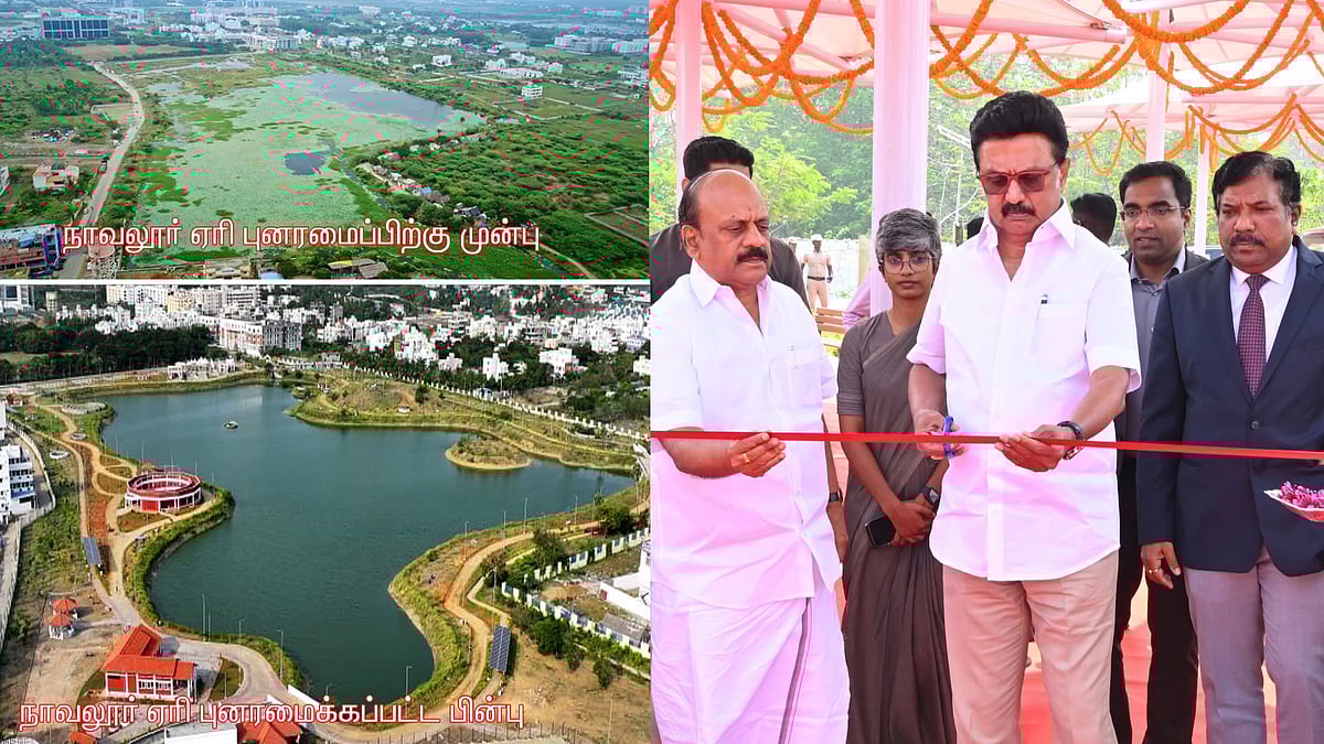 33.43 ஏக்கர் பரப்பளவில்.. ரூ.30 கோடியில் புனரமைக்கப்பட்ட நாவலூர் ஏரி... இப்போ எப்படி இருக்கு தெரியுமா? 