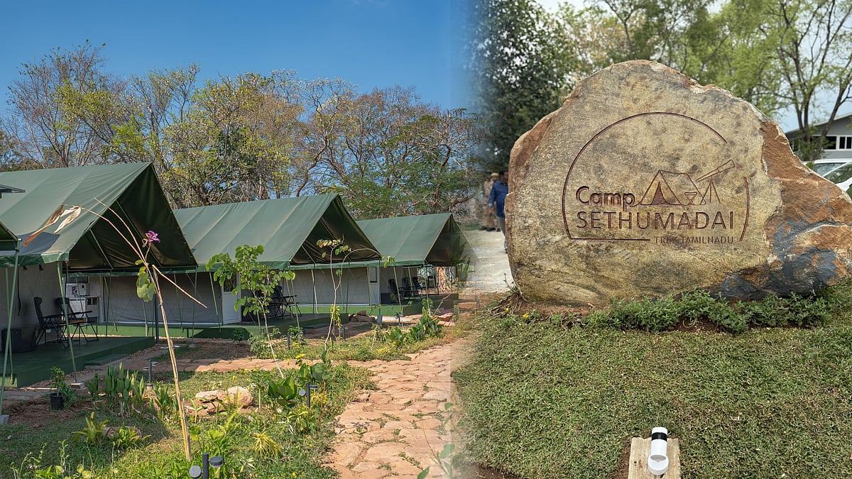 சேத்துமடை முகாம் திறப்பு : Trekking உடன் எழில் கொஞ்சும் இயற்கையை ரசிக்க வேண்டுமா?.. விவரம் உள்ளே!