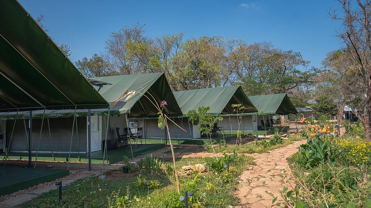 சேத்துமடை முகாம் திறப்பு : Trekking உடன் எழில் கொஞ்சும் இயற்கையை ரசிக்க வேண்டுமா?.. விவரம் உள்ளே!