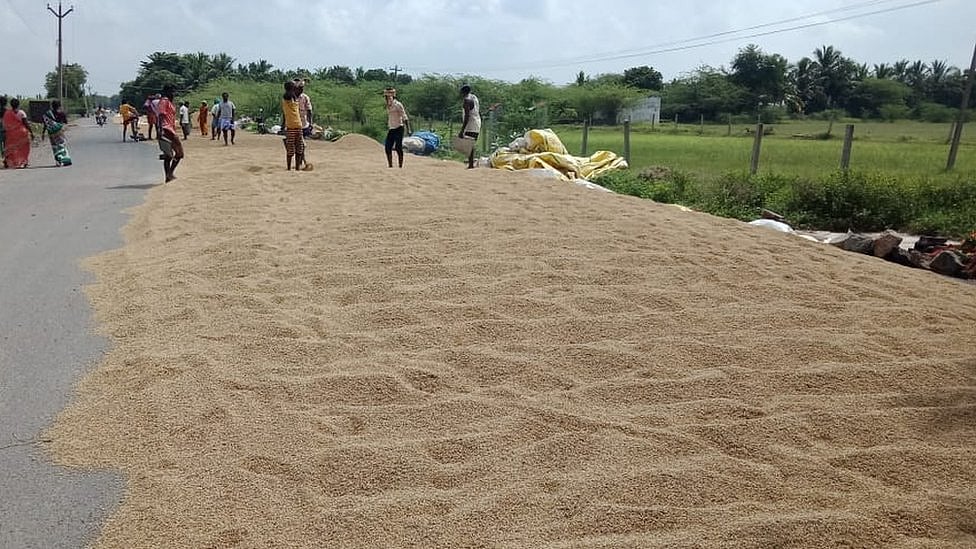 நடப்பாண்டு நெல் கொள்முதல் இலக்கினை 47.50 இலட்சம் மெ.டன்னாக உயர்த்துக: பிரதமருக்கு முதலமைச்சர் கடிதம்!