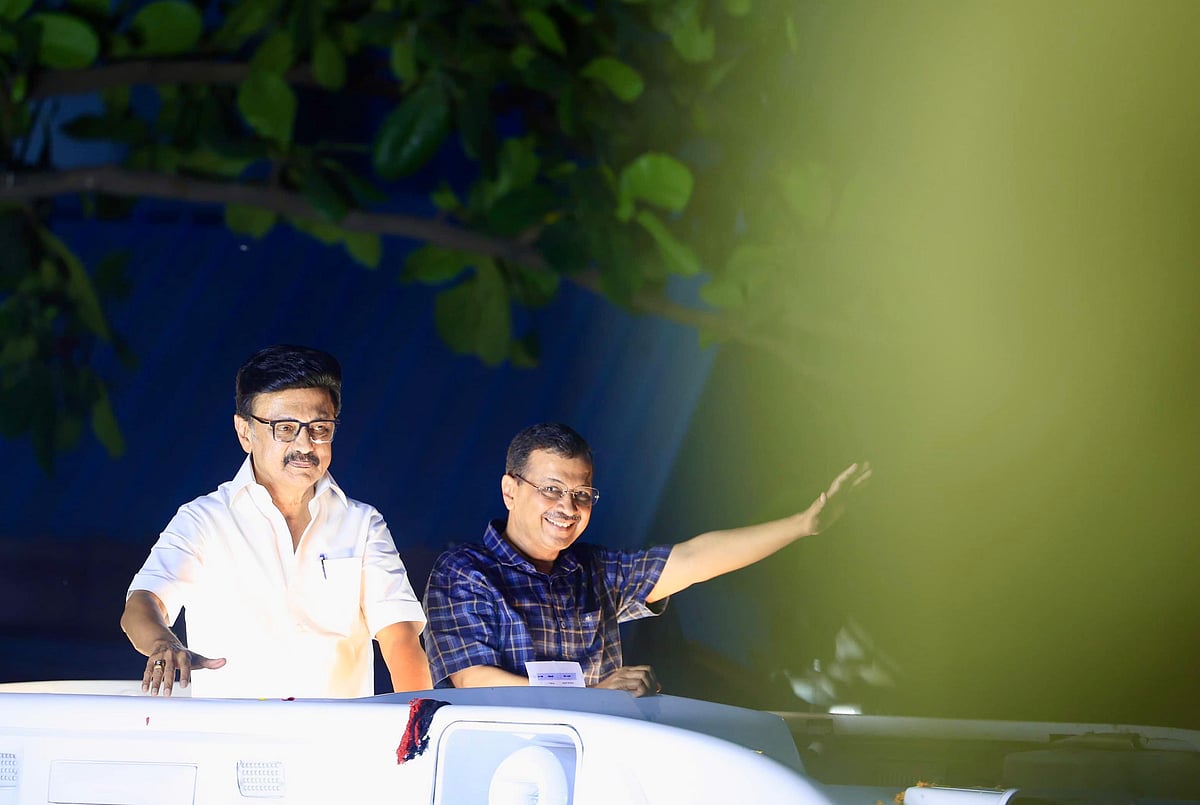 “உங்கள் வீட்டுப்பிள்ளை வேண்டுமா? எங்கிருந்தோ வந்து நாடகமாடுபவர் வேண்டுமா?” : பெரம்பூரில் முதல்வர் உரை!