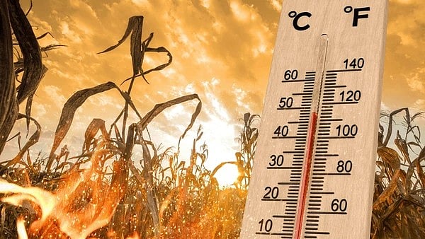 “வேலூரில் 41.5° செல்சியஸ் வெப்பத்துடன் உச்சம் தொட்ட வெயில்!” : வானிலை ஆய்வு மையம் தகவல்!