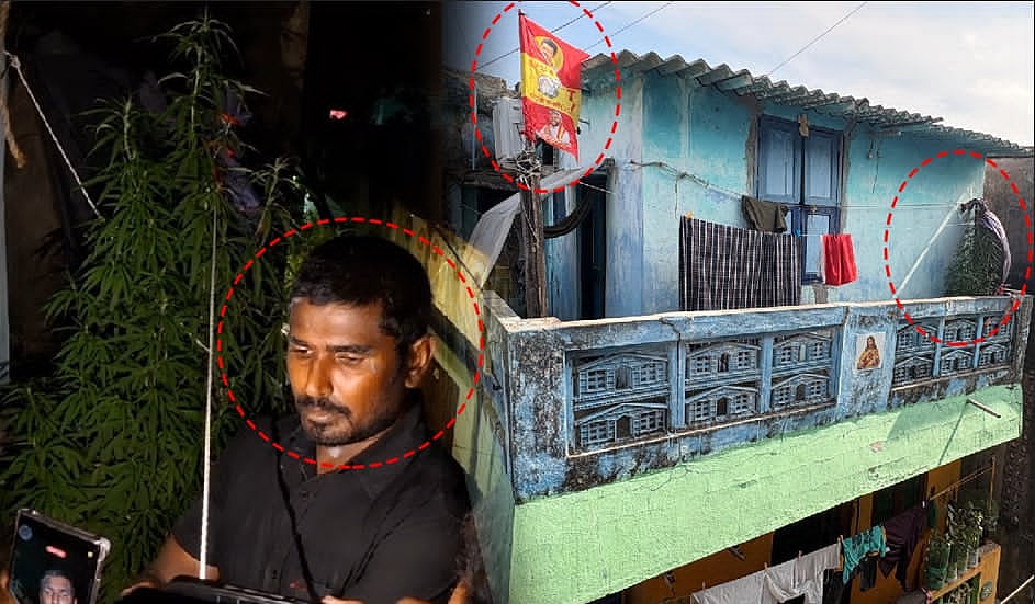 வீட்டு பால்கனியில் கஞ்சா செடி வளர்த்த தவெக ஆதரவாளர்: இதை வளர்ப்பதால் என்ன தப்பு?- போலீசாரிடம் வாக்குவாதம்
