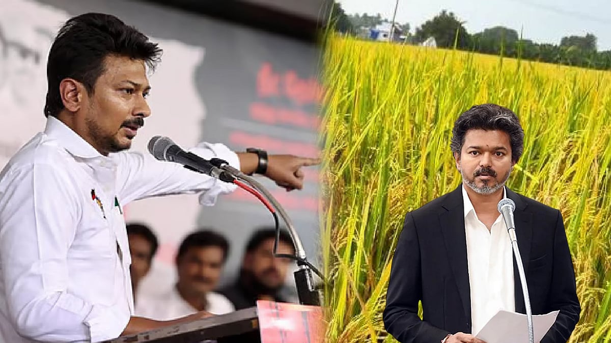 விளம்பர வெறியால் கருகும் சம்பா பயிர்கள்.. விவசாயிகளை கண்டுகொள்ளாமல் இருக்கும் விஜய்.. - உதயநிதி விளாசல்!