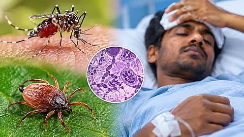 கடுமையான தலைவலி இருக்கிறதா?... டெங்கு காய்ச்சலுக்கான அறிகுறிகள் என்ன? - நிபுணர்கள் சொல்லும் தகவல் !