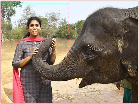 ‘வனத்துறைப் பணி செய்ய வாருங்கள்!’