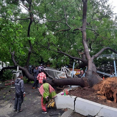 தலைமைச் செயலகத்தில் மரம் சாய்ந்து விழுந்து பெண் காவலர் பலி!