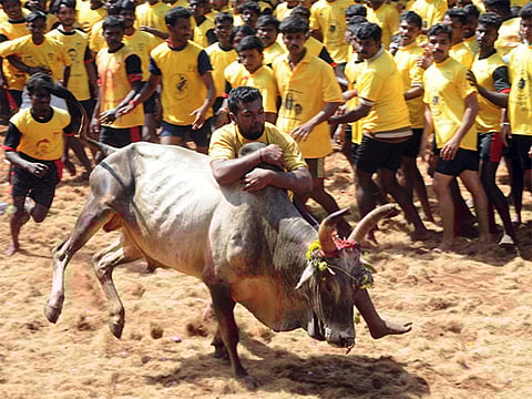 ஜல்லிக்கட்டில் சிறப்பு விருந்தினராகக் கலந்துகொள்ள முதல்வருக்கு அழைப்பு!