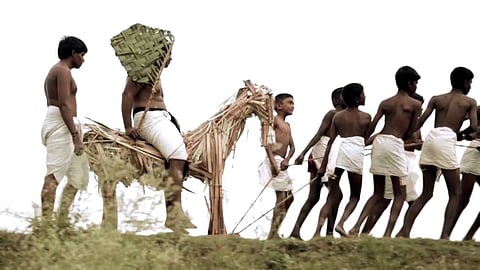 பனை மரத்தின் உதவி