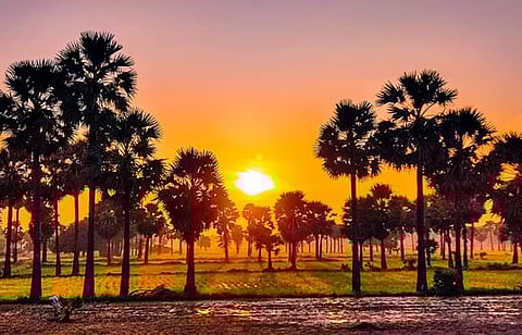 ராமநாதபுரம் மாவட்ட கூரான்கோட்டை கிராமத்தில் இந்த காட்சி