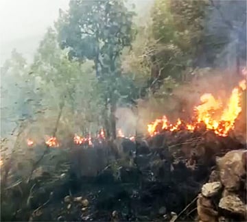 மேற்குத்தொடர்ச்சி மலையில் வேகமாக பரவும் காட்டுத்தீ! 5 ஏக்கர் மரங்கள் சேதம்!