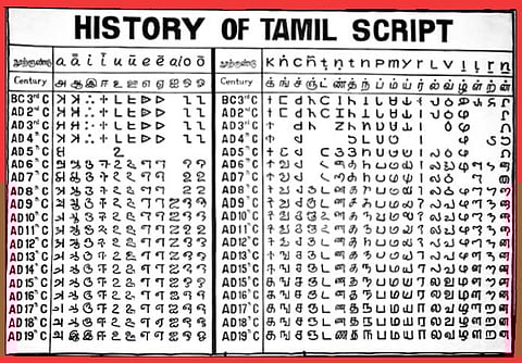 கழுதையும் கல்வெட்டும்
