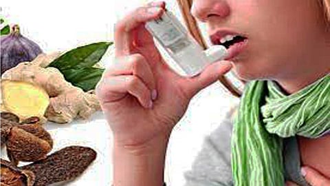 ஆஸ்துமாவை தவிர்க்க சில யோசனைகள்! 