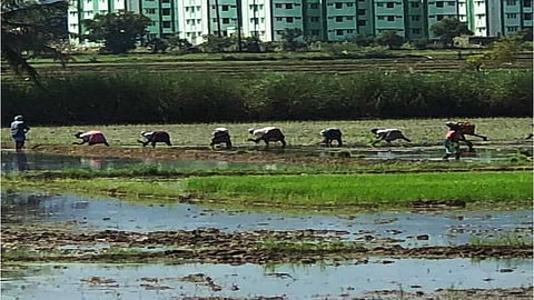 விவசாயிகள் அறிவார்களா?