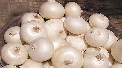 வெள்ளை வெங்காயம் - மருத்துவ குணங்கள்! 