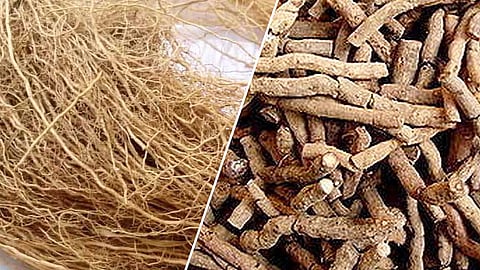 வேர்களும் அதன்  மருத்துவ பலன்களும்!