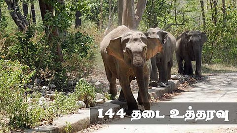 ஜார்கண்ட் மாநிலத்தில் 144 தடை உத்தரவு!