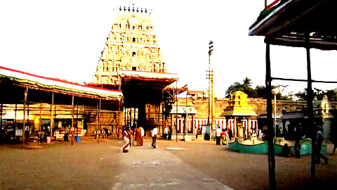 திருவொற்றியூர் வடியுடையம்மன்  கோவிலில் திருத்தேரோட்டம்! 