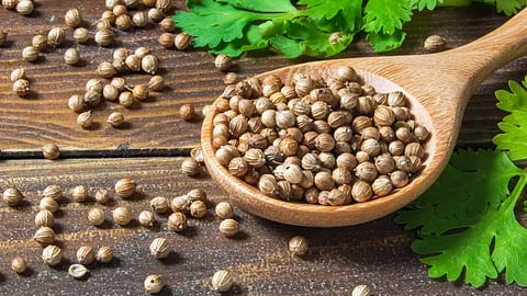 தனியா எனப்படும் மல்லி விதையின் மகத்துவம்!