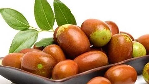 உடல் சூட்டை தணித்து குளிர்ச்சியை தரக்கூடிய இலந்தைப் பழம்!
