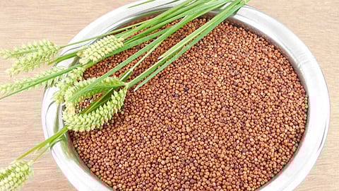 ஆரோக்கிய வாழ்வு தரும் கம்பு