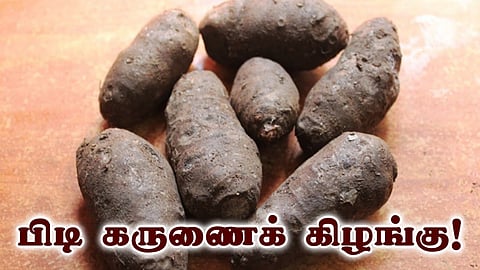 ருசியான பிடி கருணைக் கிழங்கு பச்சடி செய்வது எப்படி?