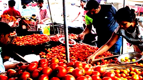 பசுமை பண்ணை கூட்டுறவு மூலம் கொள்முதல் விலைக்கே  தக்காளி விற்பனை! 