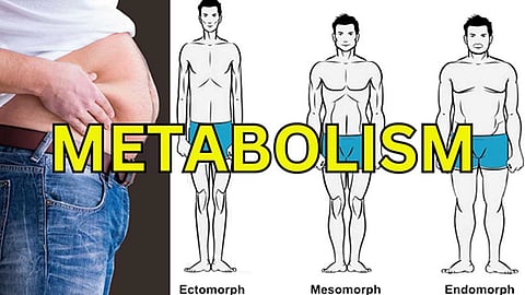 
Metabolism என்றால் என்ன?
