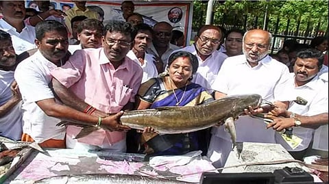 மீனை சைவத்தில் சேர்க்க வேண்டும் - ஆளுநர் தமிழிசை பேச்சால் பரபரப்பு!