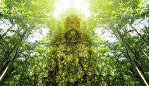 ஆரண்ய ஸ்வரூபியாக
ஸ்ரீ மகாவிஷ்ணு திகழும் நைமிசாரண்யம்!