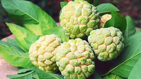 என்றும்  இளமையாக இருக்க உதவும் கொலாஜன் பற்றித் தெரியுமா? அது  இந்தப் பழத்துல நிறையவே இருக்குன்னு தெரிஞ்சா ஆச்சர்யப்படுவீங்க!