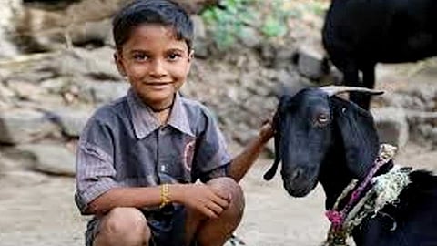 பேரனின் கண்களில் ஆதித் தகப்பன்!