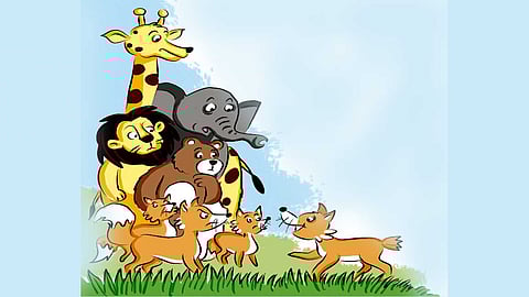 animals