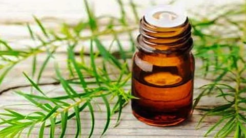 Tea tree oil