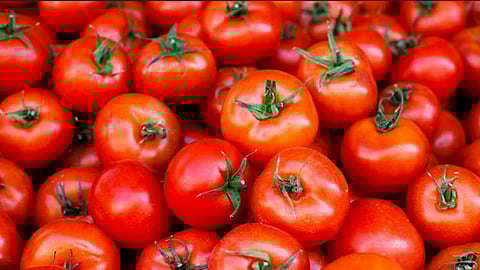 Do you know the health benefits of tomatoes?