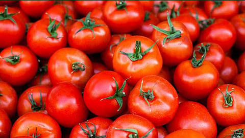 Do you know the health benefits of tomatoes?