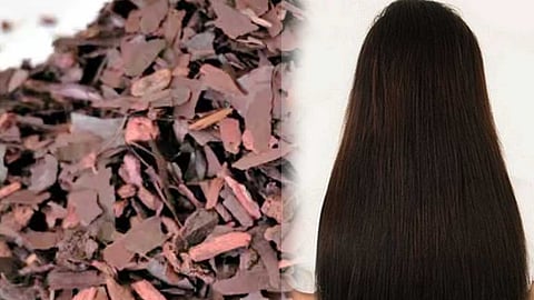 வேகமாக முடி வளர வேண்டுமா? வேம்பாளம் பட்டையைப் பயன் படுத்துங்கள்!
