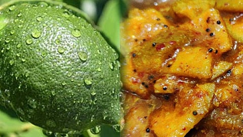 நார்த்தங்காய் கொத்சு