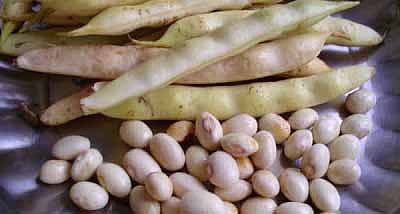 Do you know the health benefits of butter beans?