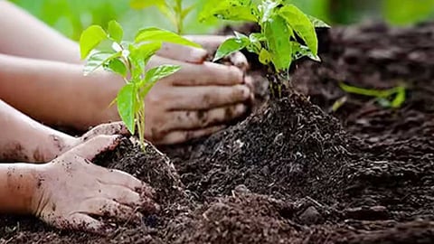 Motivational articles